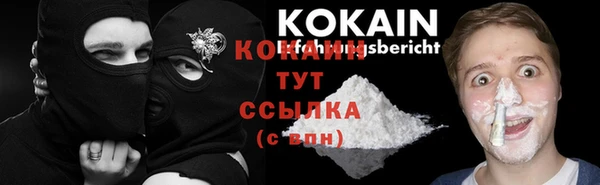 spice Алексин