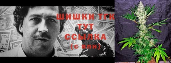 ПСИЛОЦИБИНОВЫЕ ГРИБЫ Абдулино