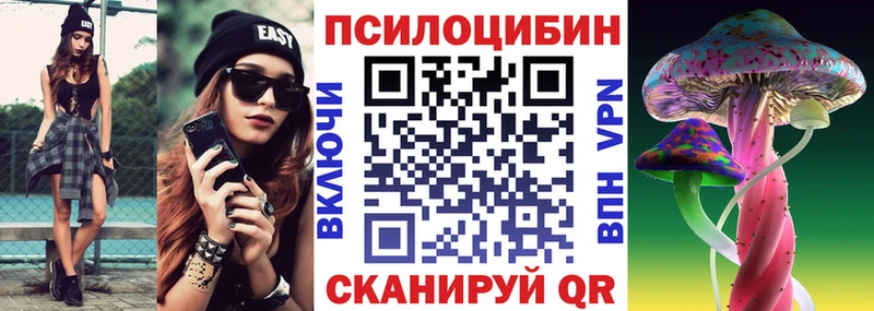 где купить   ОМГ ОМГ зеркало  Псилоцибиновые грибы мицелий  Кирсанов 